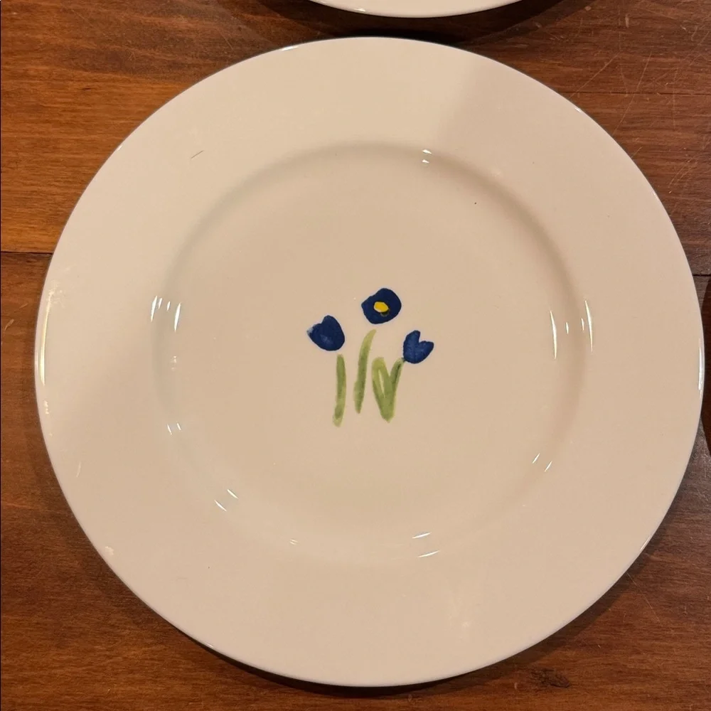 NEW Crate&Barrel Anna’a Artistry Floral Flowers 8 1/2” Plates Set of 4 Salad EXC
